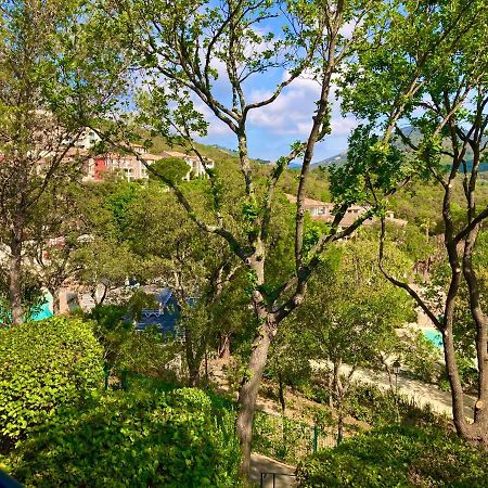 Les Restanques Bruyeres 2103 Proche Piscine Leilighet Grimaud Eksteriør bilde