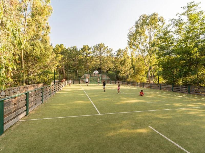 Les Restanques Bruyeres 2103 Proche Piscine Leilighet Grimaud Eksteriør bilde